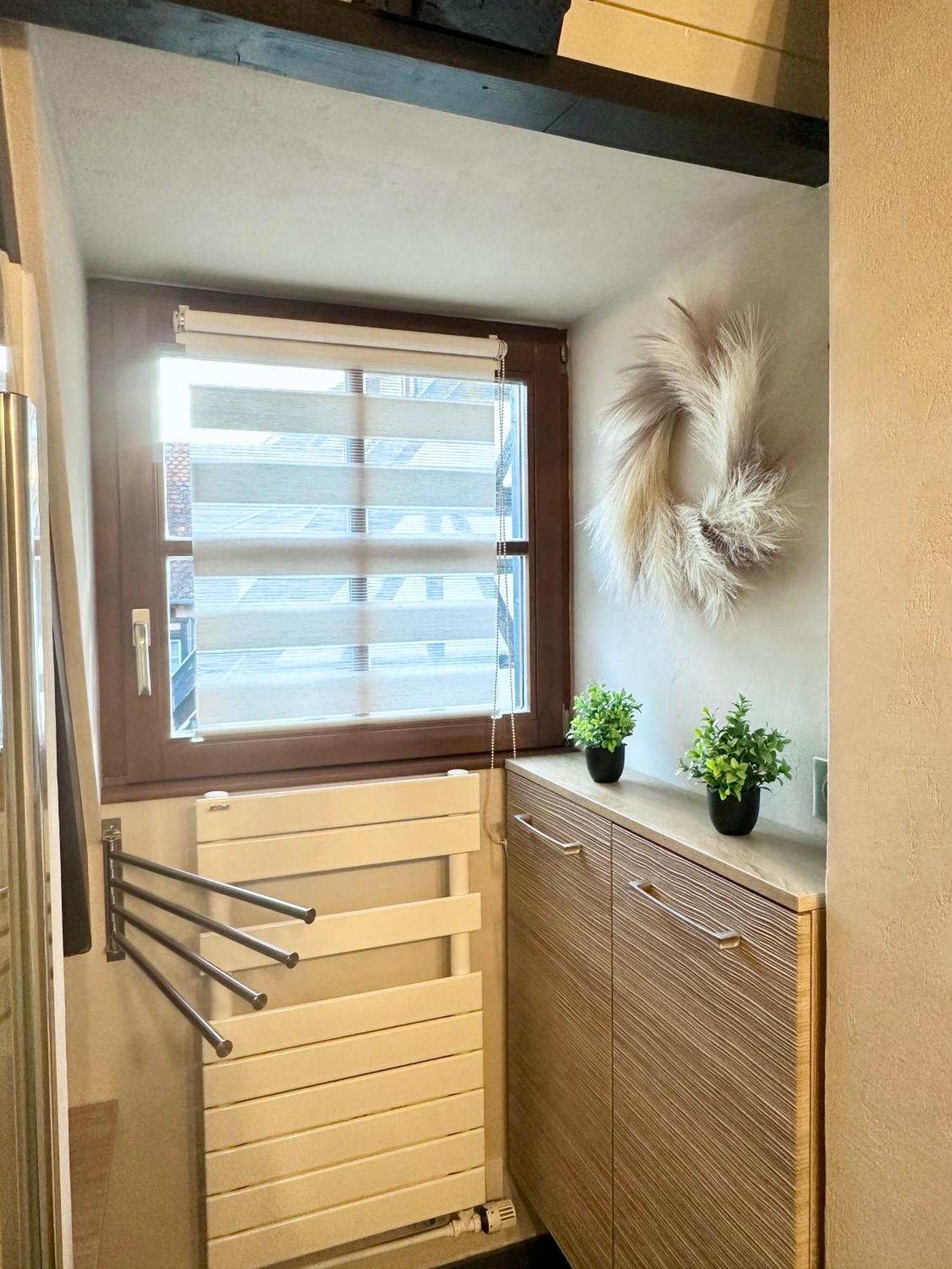 Jeannette Apartment Ribeauville  Bagian luar foto